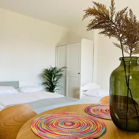 Lawenda Władysławowo