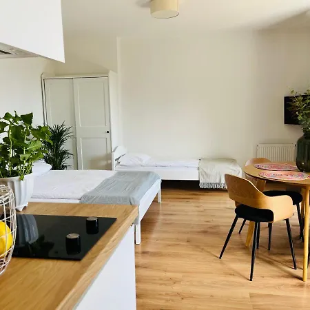 Lawenda Władysławowo