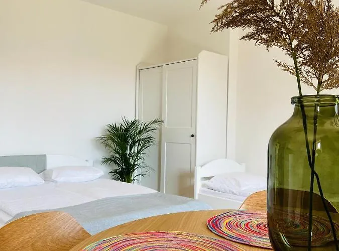 Lawenda Władysławowo